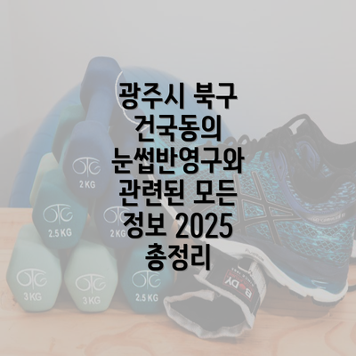 광주시 북구 건국동의 눈썹반영구와 관련된 모든 정보 2025 총정리