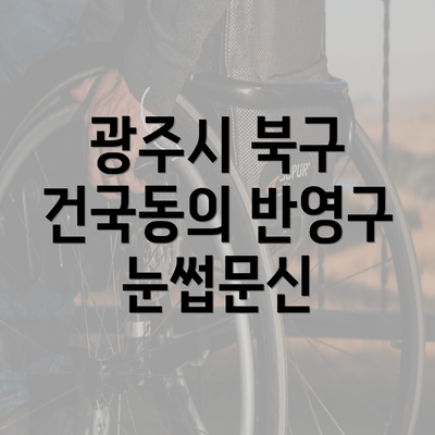 광주시 북구 건국동의 반영구 눈썹문신