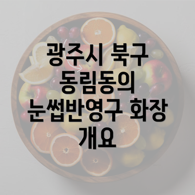 광주시 북구 동림동의 눈썹반영구 화장 개요