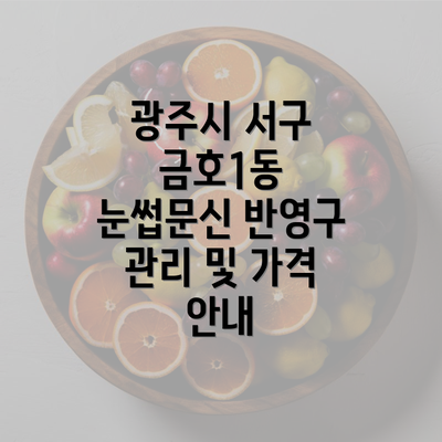 광주시 서구 금호1동 눈썹문신 반영구 관리 및 가격 안내