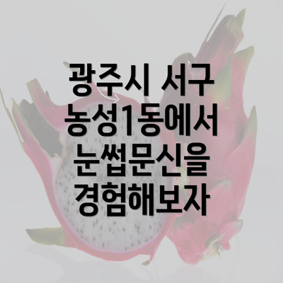 광주시 서구 농성1동에서 눈썹문신을 경험해보자