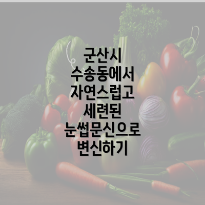 군산시 수송동에서 자연스럽고 세련된 눈썹문신으로 변신하기