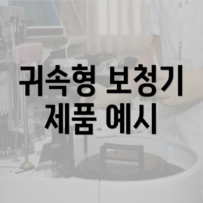 귀속형 보청기 제품 예시