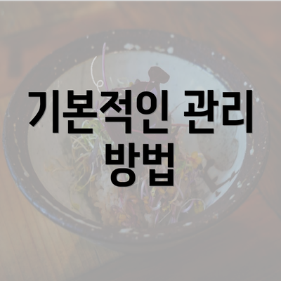 기본적인 관리 방법