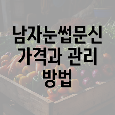 남자눈썹문신 가격과 관리 방법