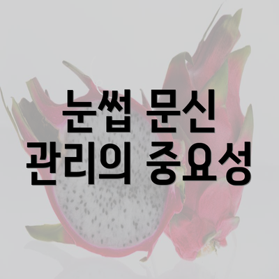 눈썹 문신 관리의 중요성