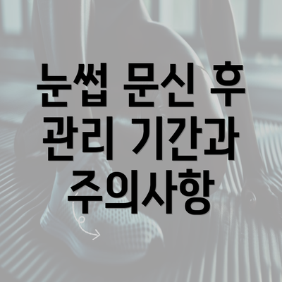 눈썹 문신 후 관리 기간과 주의사항