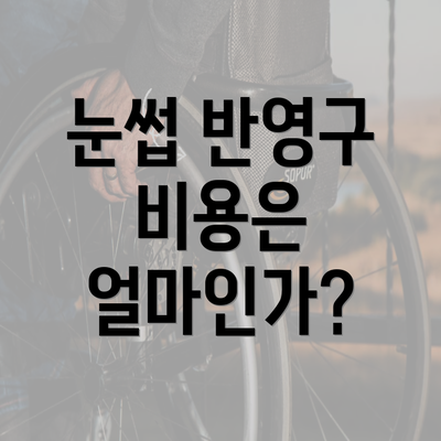 눈썹 반영구 비용은 얼마인가?