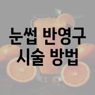 눈썹 반영구 시술 방법