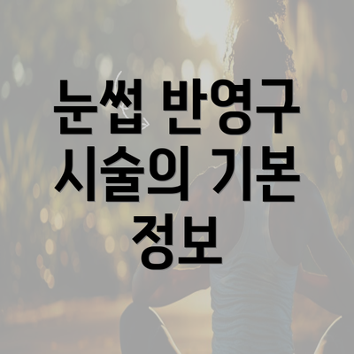 눈썹 반영구 시술의 기본 정보