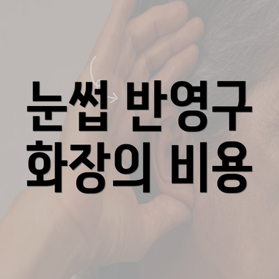 눈썹 반영구 화장의 비용