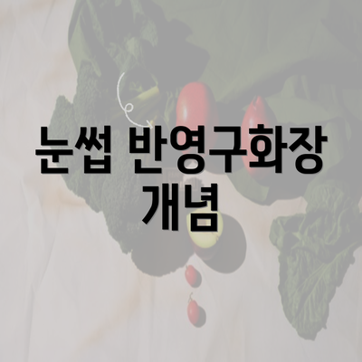 눈썹 반영구화장 개념