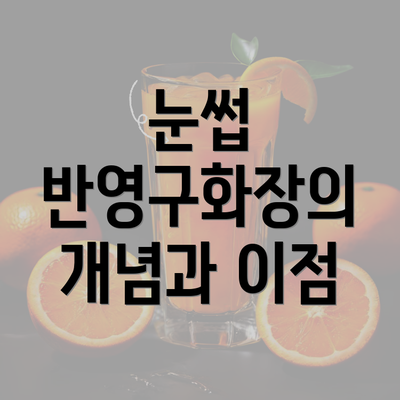 눈썹 반영구화장의 개념과 이점