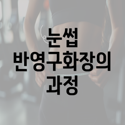 눈썹 반영구화장의 과정