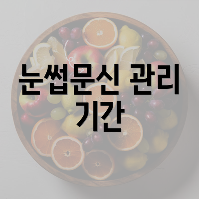 눈썹문신 관리 기간