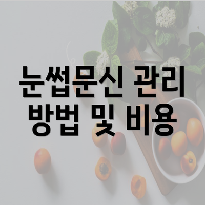 눈썹문신 관리 방법 및 비용