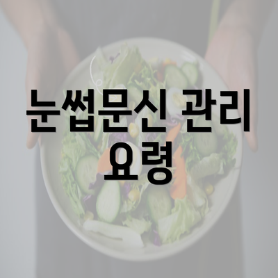 눈썹문신 관리 요령