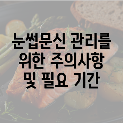 눈썹문신 관리를 위한 주의사항 및 필요 기간