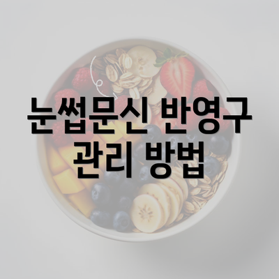 눈썹문신 반영구 관리 방법