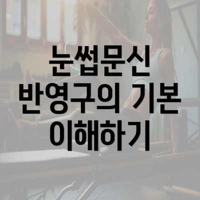 눈썹문신 반영구의 기본 이해하기