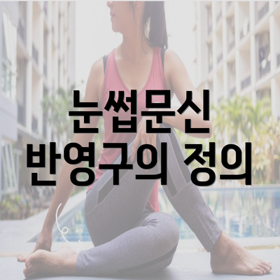 눈썹문신 반영구의 정의