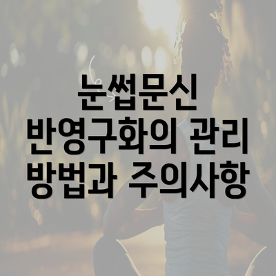 눈썹문신 반영구화의 관리 방법과 주의사항