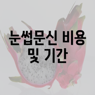 눈썹문신 비용 및 기간