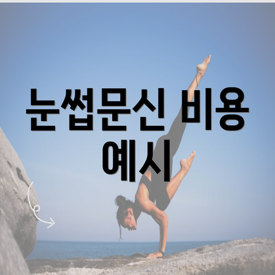 눈썹문신 비용 예시