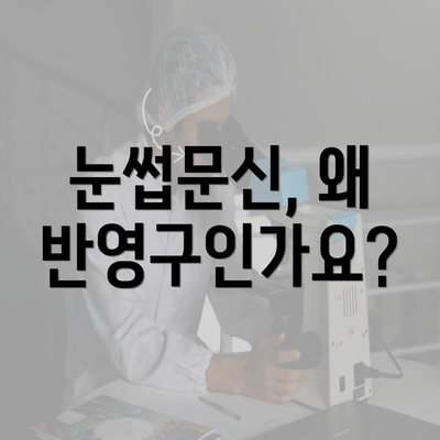 눈썹문신, 왜 반영구인가요?