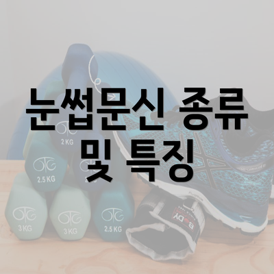 눈썹문신 종류 및 특징