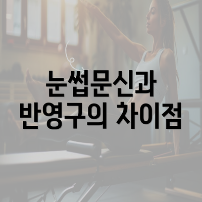 눈썹문신과 반영구의 차이점