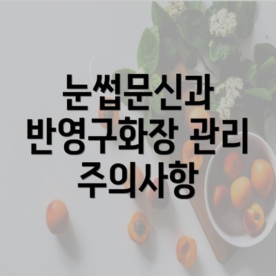 눈썹문신과 반영구화장 관리 주의사항