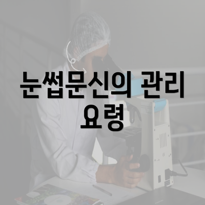 눈썹문신의 관리 요령