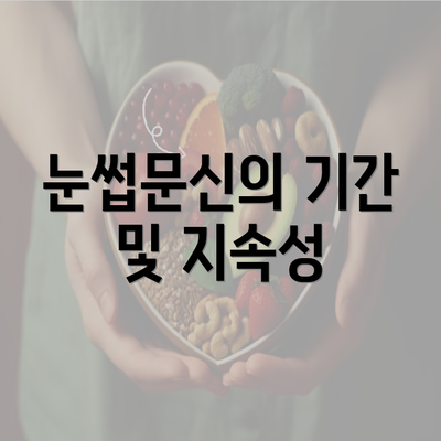 눈썹문신의 기간 및 지속성