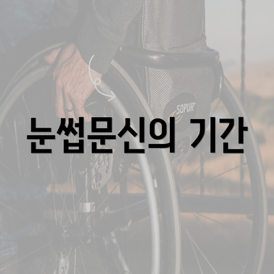 눈썹문신의 기간