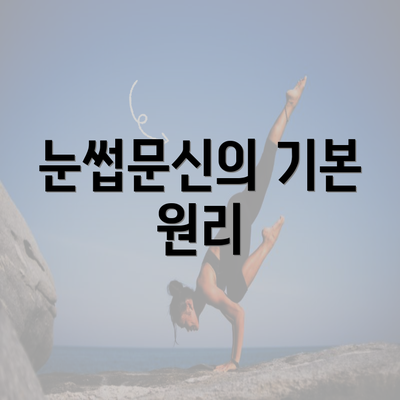 눈썹문신의 기본 원리