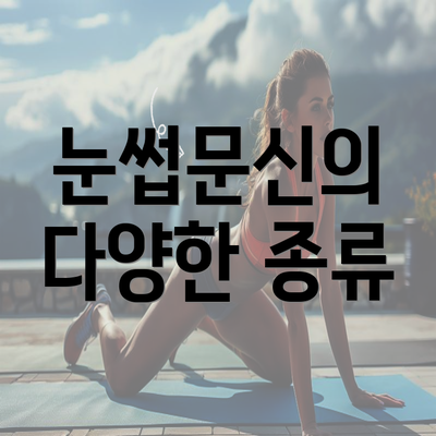 눈썹문신의 다양한 종류