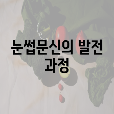 눈썹문신의 발전 과정