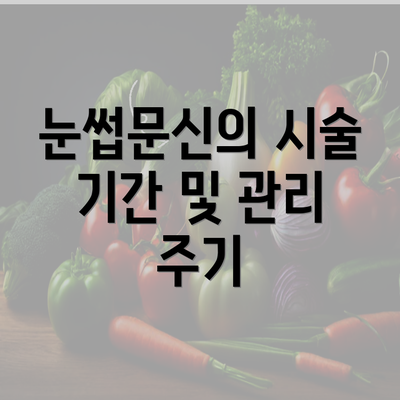 눈썹문신의 시술 기간 및 관리 주기