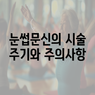 눈썹문신의 시술 주기와 주의사항