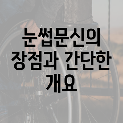 눈썹문신의 장점과 간단한 개요