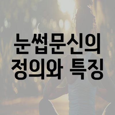 눈썹문신의 정의와 특징