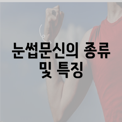 눈썹문신의 종류 및 특징