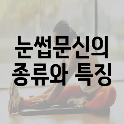 눈썹문신의 종류와 특징