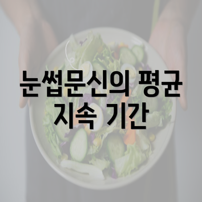 눈썹문신의 평균 지속 기간