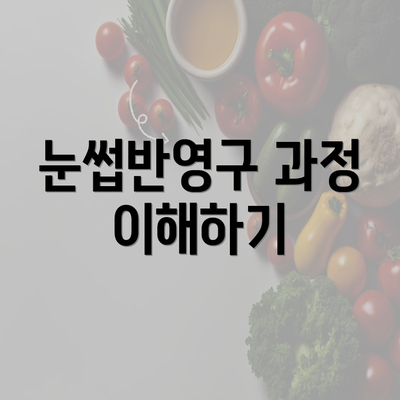 눈썹반영구 과정 이해하기