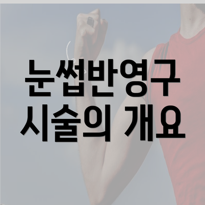 눈썹반영구 시술의 개요