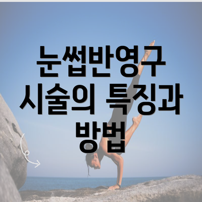 눈썹반영구 시술의 특징과 방법