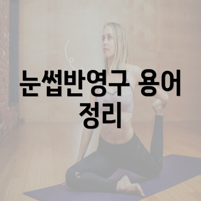 눈썹반영구 용어 정리