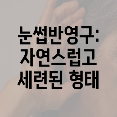 눈썹반영구: 자연스럽고 세련된 형태